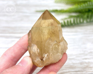 Congo Citrine #9