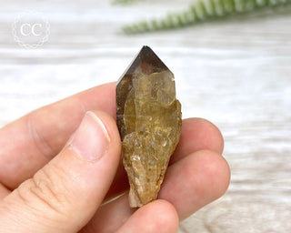 Congo Citrine #15