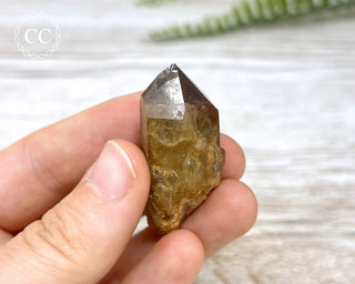 Congo Citrine #15