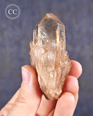 Congo Citrine #10