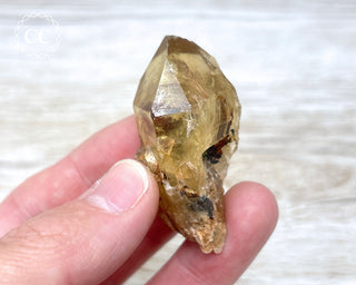 Congo Citrine #7