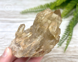 Congo Citrine #7