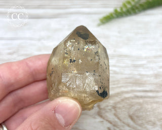 Congo Citrine #1