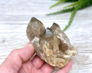 Congo Citrine #4
