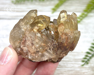 Congo Citrine #4