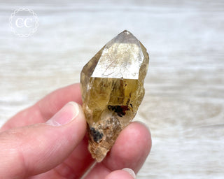 Congo Citrine #7