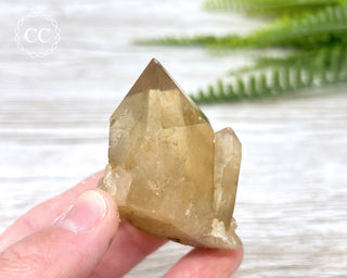 Congo Citrine #9