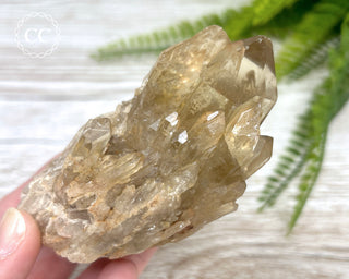 Congo Citrine #7