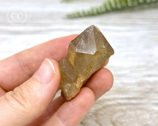 Congo Citrine #16