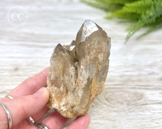 Congo Citrine #6