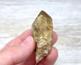Congo Citrine #7