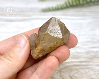 Congo Citrine #16