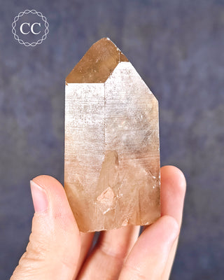 Congo Citrine #11