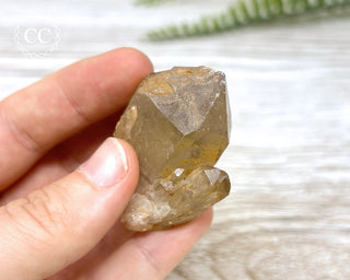 Congo Citrine #16