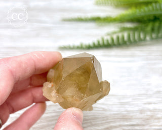 Congo Citrine #9