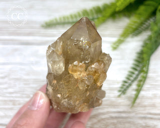 Congo Citrine #7