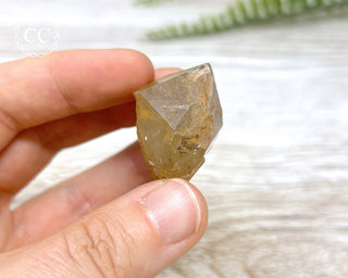 Congo Citrine #16