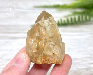 Congo Citrine #10