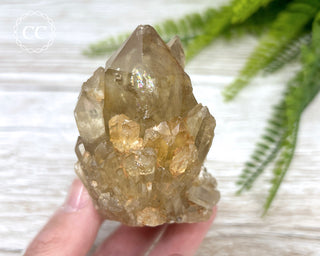 Congo Citrine #7