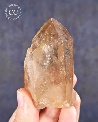 Congo Citrine #11
