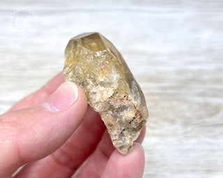 Congo Citrine #7