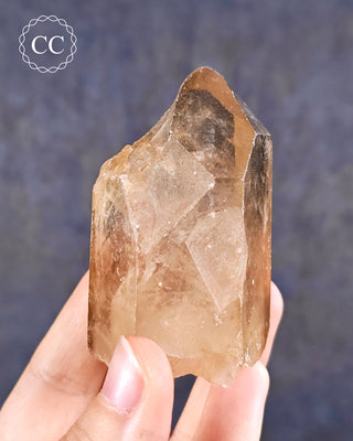 Congo Citrine #11