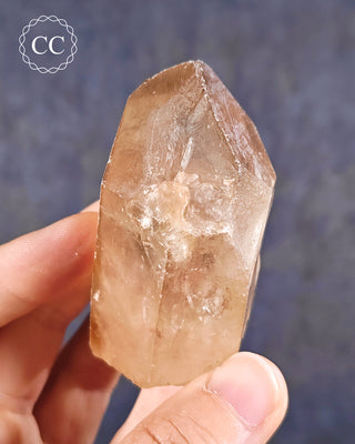Congo Citrine #11