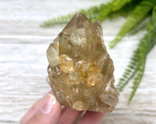 Congo Citrine #7