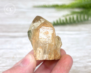 Congo Citrine #10