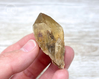 Congo Citrine #7