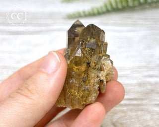 Congo Citrine #17