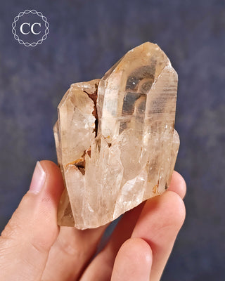 Natural Congo Citrine Crystal in hand