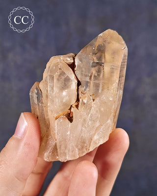 Congo Citrine #12
