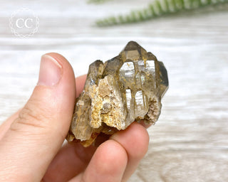 Congo Citrine #17
