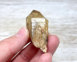 Congo Citrine #7