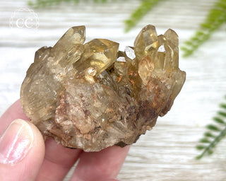 Congo Citrine #4