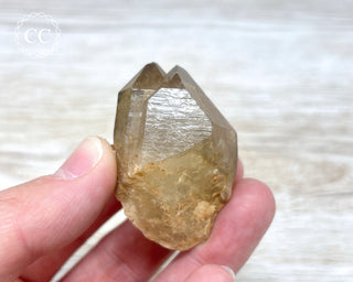 Congo Citrine #1