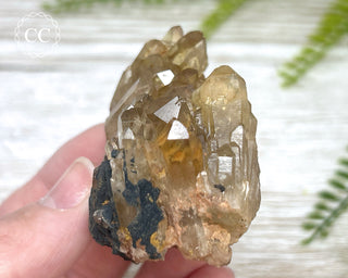 Congo Citrine #4