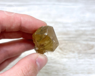 Congo Citrine #7