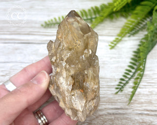 Congo Citrine #7