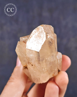Congo Citrine #12