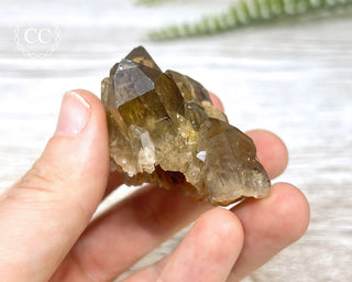 Congo Citrine #17