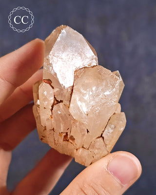 Congo Citrine #12