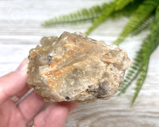 Congo Citrine #7