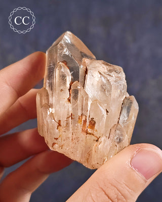 Congo Citrine #12