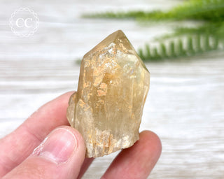 Congo Citrine #10