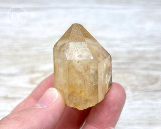 Congo Citrine #8