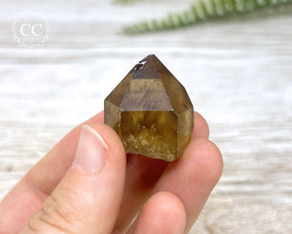 Congo Citrine #18