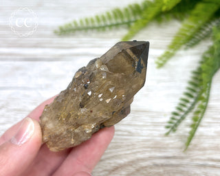 Congo Citrine #8