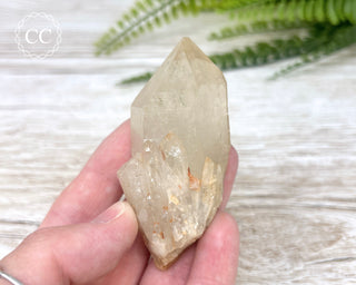 Congo Citrine #15